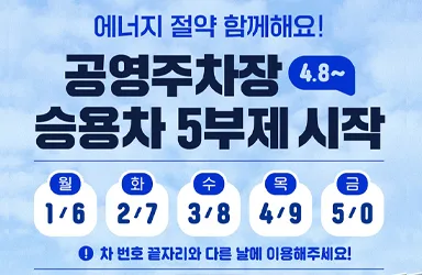 공영주차장 승용차 5부제 시행